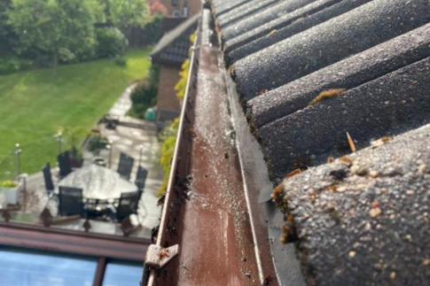 Gutter Clearance